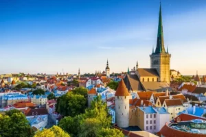 du hoc estonia gallery 1