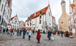 du hoc estonia gallery 4