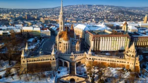 du hoc hungary gallery 2