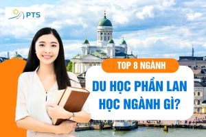 Du học Phần Lan nên học ngành gì lương cao? 08 ngành chuẩn
