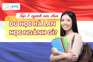 Du học Hà Lan nên học ngành gì? TOP 08 ngành nên chọn
