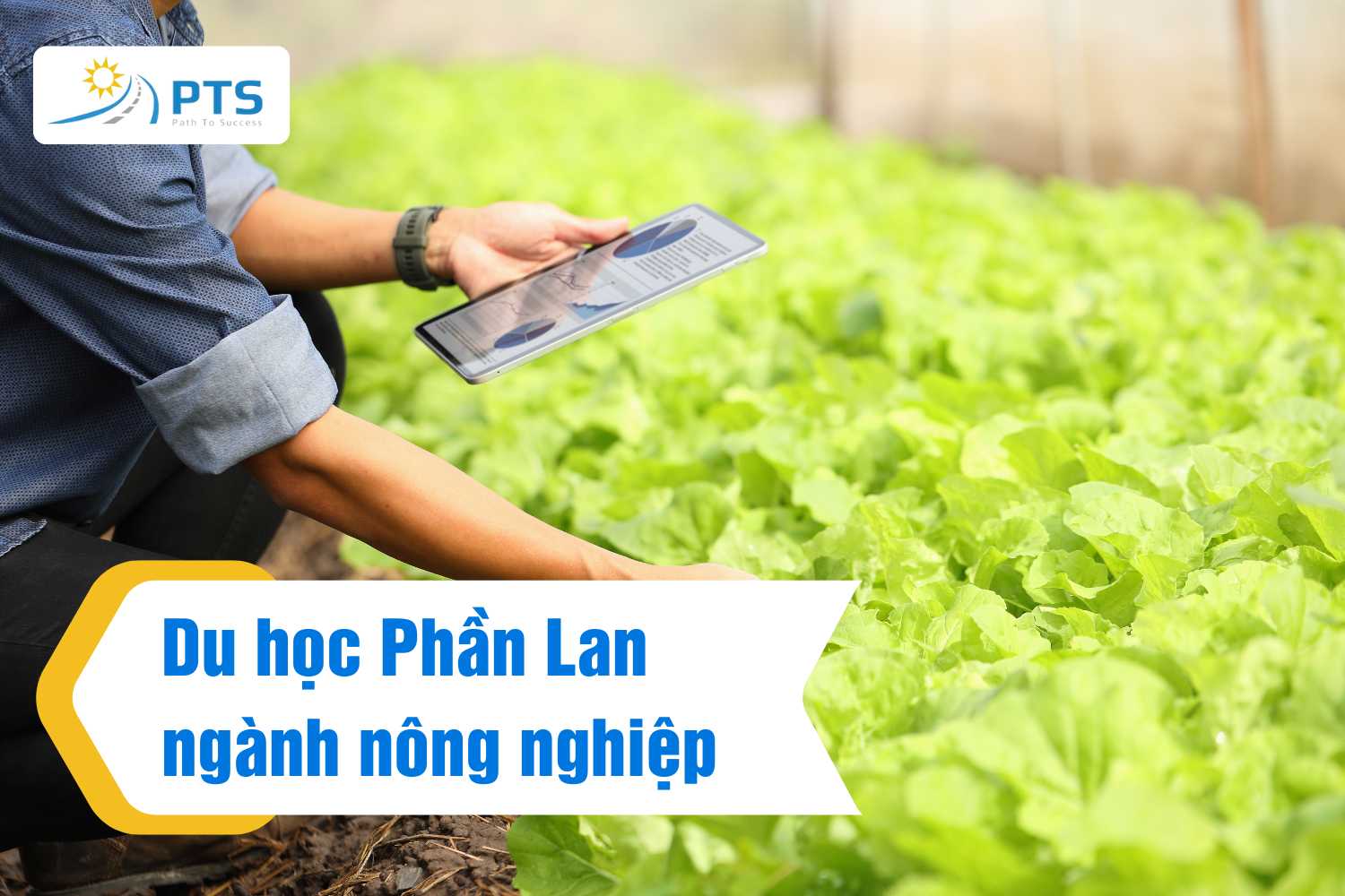 Du học Phần Lan nên học ngành gì? TOP 08 ngành chuẩn 8 Du học Phần Lan ngành Nông nghiệp