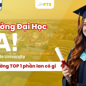 Hinh Bai Viet 800 X 500PX 13 1