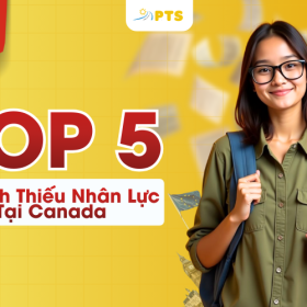 Hinh Bai Viet 800 X 500PX 13