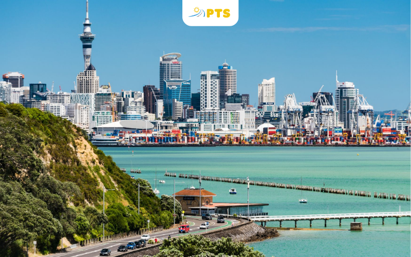 Du Học Nghề New Zealand Lương Thực Tập Năm 2026 Là Bao Nhiêu? 2 Mức lương thực tập du học nghề New Zealand 2026