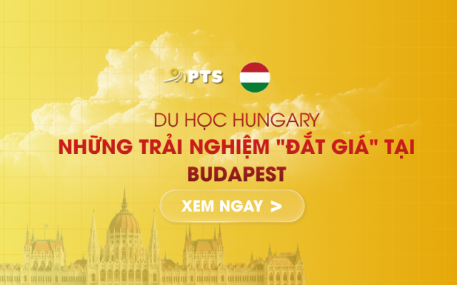 Hinh Bai Viet 800 X 500PX 19