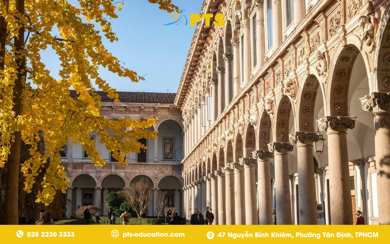 DU HỌC CHÂU ÂU CHI PHÍ THẤP 2026: TOP 3 QUỐC GIA LÝ TƯỞNG NHẤT CHO SINH VIÊN VIỆT NAM 2 DU HỌC CHÂU ÂU CHI PHÍ THẤP