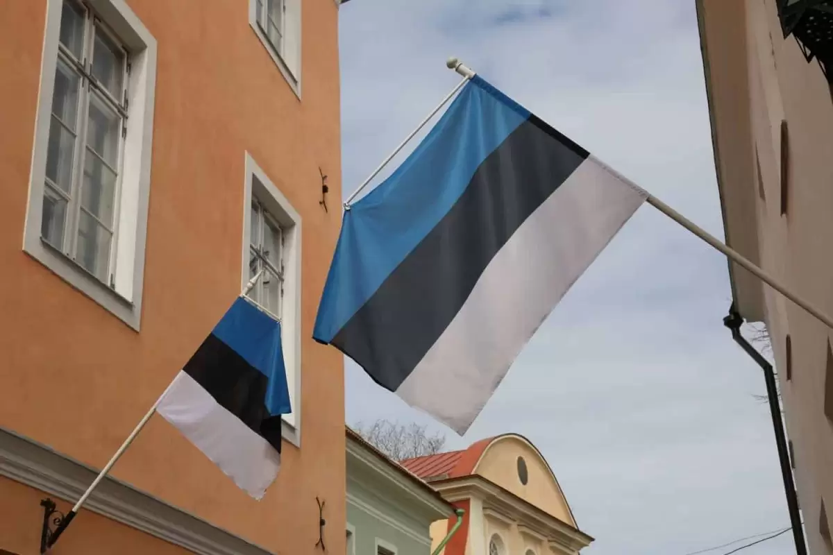 Estonia flag