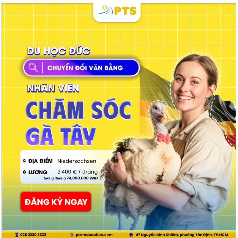 585889654 122225528198324115 8082088548188568104 n