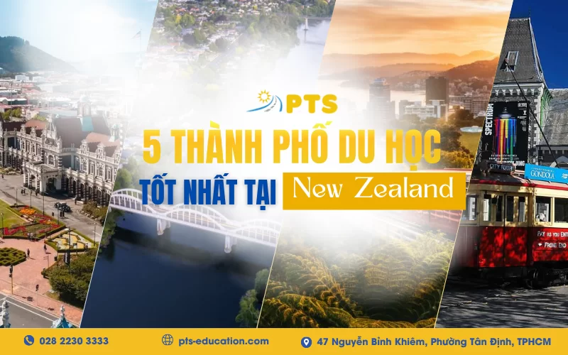 5 Thành phố Du học Tốt nhất tại New Zealand 1 Hinh Bai Viet 800 X 500PX 11