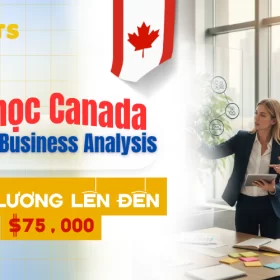 Hinh Bai Viet 800 X 500PX 18